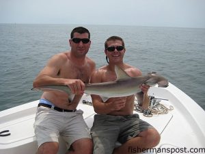 Steve 'Coz' Cosentino and Scott Maisto, both from Wilmington, with a 38" Hammerhead Coz caught while fishing just off of Bald Head Island on Maisto's 21' Sea Fox. The shark fell for a Carolina-rigged finger mullet and was released after the photo.