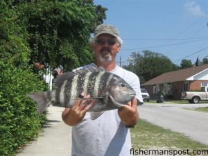 Scott Cates with a 9 lb. 10 oz. sheepshead caught near Southport.