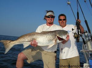 Capts. Jeremiah Hieronymus and Jot Owens with a 47" red drum Jot hooked on fresh cut menhaden in the Pamlico Sound while aboard the "Jot It Down."