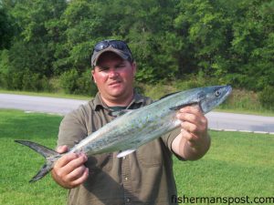 Sean Stokes, of Hubert, NC, with a 4 lb. spanish mackerel caught just off Bogue Inlet on a live peanut pogy. He was fishing with Capt. Robert Hall of Hall'em In Charters out of Swansboro.