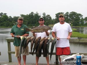 Bruce, Ryan, and Steve Campbell, from Wilmington, with gag grouper and dolphin they caught near 23 Mile Rock.