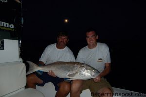 Capt. Charles Brown and Max Gaspeny with a citation-class red drum that took a large cut mullet bait fished on a modified Carolina rig atop a submerged oyster rock near the mouth of the Neuse River.