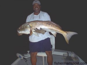 Eddie Perry, from Raleigh, with a 48 lb. red drum caught and released in the mouth of the Bay River. The red fell for a live finger mullet on a slip-sinker rig while Perry was fishing with Russ Becker aboard the "Charlotte's Web."