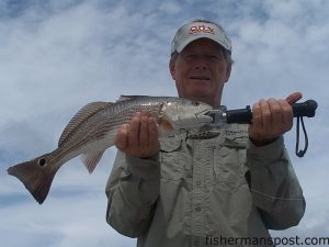 Rennie Clark, Sr. with a red drum caught on a topwater plug on the flats near Topsail. He was fishing with his son, Capt. Rennie Clark of Tournament Trail Charters.
