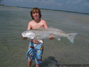 Will Schoolfield, from Wilmington, with a 34" red drum caught and released near New Topsail Inlet on a 4" swimbait on a rod and reel purchased hours before at Tex's Tackle. He was fishing with his uncle Henry.