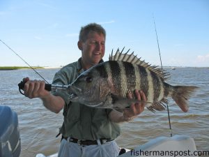 Jeff Monsein, of Durham, with a 9 lb. sheepshead he caught off of some pilings near Southport on a live fiddler crab.
