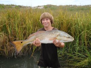 Jake Schoolfield (age 12), from Wilmington, with a 31" red drum that fell for a Redfish Magic spinnerbait behind Figure Eight Island.