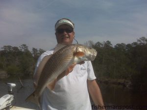 Jason Crowder with a 25" red drum caught on day one of the Cape Fear Red Trout Tournament while fishing with Capt. Ricky Kellum of Speckled Specialist Charters.