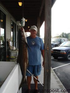 Jim Ryan with a 44 lb. cobia caugth at the Masonboro jetties on  a 4 oz. diamond jig. Weighed in at Tex's Tackle.