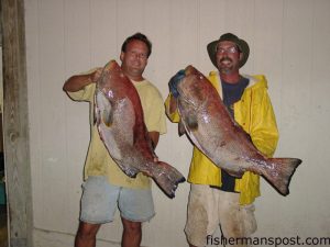 Brothers Randy and Daniel McKinley, of Hilltop Grocery in Hampstead, with a pair of 28 lb. fireback groupers caught on live baits 60 miles off Topsail aboard the "Lena Mac."