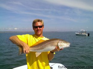 Brandon Peterson with a red drum caught and released at Johns Creek using a Carolina-rigged live mullet.