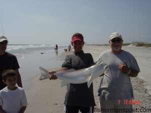 Candy Taylor and her husband with a 31” red drum that was caught and released on a finger mullet while fishing in the Topsail surf.        