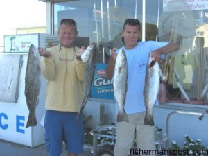 Luke and Timothy Glennon, of Morehead City, with a catch including 9 lb. 7 oz. and 7 lb. 1 oz. speckled trout. Photo courtesy of Freeman’s Bait & Tackle. 