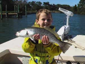 Cade Siebrecht (age 5) with a 23” speckled trout caught in the Swansboro area on an ultralight 6 lb. tackle with a brown Billy Bay Halo Shrimp. He was fishing with Capt. Rob Koraly of Sandbar Safari Charters out of Swansboro.