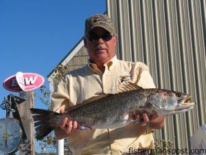 Mike Turnage with a huge 11 lb. 4 oz. speckled trout he hooked on an electric chicken MR17 MirrOlure while casting to a drop-off near Cherry Point. He kept the fish in his livewell and released it after weighing it in at EJW Outdoors.