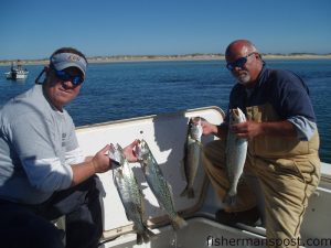 Matt Rast and Steve Brock with four out of a limit of 22" class speckled trout they caught on live shrimp beneath floats at the Cape Lookout Rock Jetty.