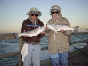 Paul and Athlene Fulton, of Winston Salem, NC, with a pair of 23” puppy drum caught while fishing from Carolina Beach Pier. Paul’s red hit cut mullet, and Athlene’s fish fell for a live mullet.  