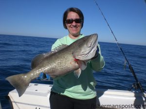Molly Anthony, from Winston Salem, with her first grouper, a big gag caught on a butterfly jig at 18 Mile Rock while she was fishing with her husband Chad.
