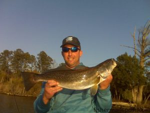 Capt. Ricky Kellum, of Speckled Specialist Charters, with an 8 lb. speckled trout that fell for a pink Billy Bay Halo Shrimp in a creek off the New River. Kellum placed a $100 tag in the trout and let it go.