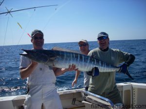Vincent Vega, Jon Stabor, and Capt. Pat "Wingnut" Horning with a stout wahoo they hooked a few miles southwest of the Steeples on a ballyhoo beneath a pink/green sea witch. The 'hoo was one of five caught that day aboard the "Salty Seaman" with Capt. Paul Horning.