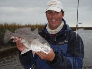 Capt. Patrick Kelly, of Capt. Smiley's Fishing Charters, with a 23" redfish that fell for a new penny Gulp jerkbait in a shallow creek near Little River.