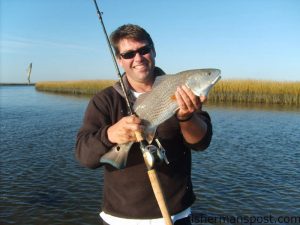 David Salling, from Scotts Hill, NC, with a slot red drum that took a 4" Molting Gulp Shrimp in the backwaters at Fort Fisher.