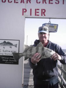 Tommy Smith with a 5 lb. 11 oz. black drum caught while fishing from Ocean Crest Pier.