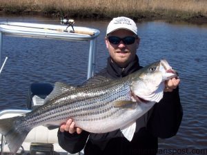 Capt. Jason Dail, from Wilmington, with an est. 20 lb. striped bass he hooked in the Cape Fear River on a shallow diving crankbait. Dail was fishing with Capt. Blair White.