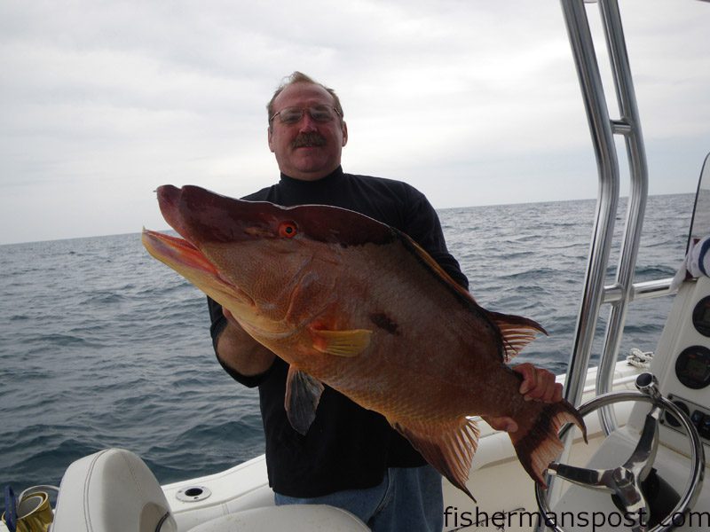 John Watson, from Wilmington, with a 17 lb. hogfish caught 35 miles southeast of Masonboro Inlet in 100′ of water while he was fishing on the “Johnboat.” The hog fell for a piece of cut bait.
