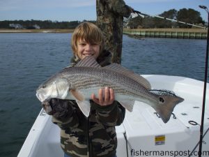 Bradley Williams, from Raleigh, with one of several red drum he caught while fishing a dock near Masonboro Inlet with cut mullet.
