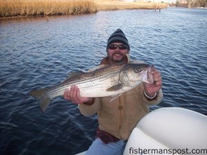 Todd Byrd, owner of the Triangle Lounge in Wilmington, with a striped bass he hooked on a diving plug while fishing the NE Cape Fear River with Duane Auman and Capt. Jot Owens.