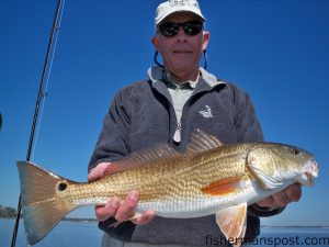 John Curr, of Gibsonville, NC, with a red drum he hooked on a spinnerbait while fishing the Swansboro backwaters with Capt. Jeff Cronk of FishN4Life Charters.