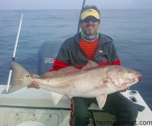 Capt. Mike Pedersen with a citation red drum he caught bottom fishing off New River inlet with Capt. Joe Hifko aboard the "Rough and Ready."