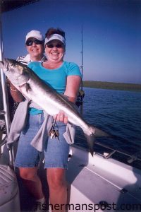 Bobbie Wells and Terry Miller, from Southport, with a bluefish caught in 2' of water near Bald Head Island using a live pogy. They were fishing with Capt. Greer Hughes of Cool Runnings Charters out of Oak Island.