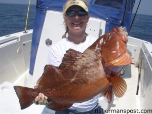 Andrea Nelson, of Wilmington, with a red grouper that took a live bait in 110' of water off Wrightsville Beach while she was fishing with Nick Maraveyias aboard the "Seabiscuit."