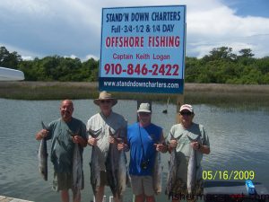 Sonny Moss, Joby Garham, Larry Graham, and Larry Hilereth with part of a limit of king mackerel they hooked while trolling cigar minnows on South Chatham Pirate Plugs. The were fishing a ledge 30 miles off Holden Beach with Capt. Keith Logan of Stand'N Down Charters.