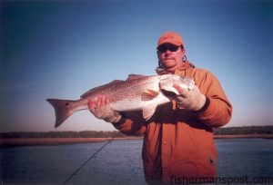 Joe Mrozek, from Charlotte, with an over-the-slot red drum caught on cut bait near Southport. He was fishing with Capt. Greer Hughes of Cool Runnings Charters out of Oak Island.
