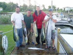Richard Cole, Zach Moore, Corey Durako, adn Richard Gilligan with dolphin, a wahoo, a blackfin tuna, and a gag grouper they caught at the Same Ole. The pelagics bit ballyhoo under blue/white sea witches and black/purple JAG's adn the gag fell for a vertical jig while the anglers were aboard the 29' Donzi "BlueBYU."