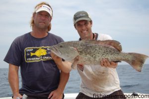 Capt. Ken Mullen, of Swell Rider Sportfishing, and Gary Hurley, Pulisher of Fisherman’s Post, with a gag grouper hooked on a chunk of Boston mackerel at a wreck in 100’ of water around 30 miles off Wrightsville Beach. 