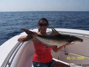 Amanda Harrison Harper, of Snow Hill, NC, with a cobia she hooked while trolling in 95' of water off Beaufort.