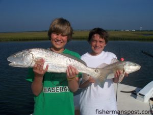 Matt and Chris Jackson, of High Point, NC, with a pair of red drum they hooked and released on float-rigged mud minnows in the backwaters near Swansboro. They were fishing with Capt. Rob Koraly of Sandbar Safari Charters.
