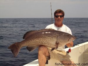 Tim Barefoot, of Barefoot Fishing out of Wilmington, with a 35.1 lb. gag grouper (44" long) caught 36 miles off Wrightsville Beach. He was using a Decoy rig with a whole squid, and the gag was on the stinger hook.