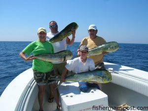 Lisa Cox, Bengie Cox, and Lindsey Nance, from Macedonia, NC, and Tripp Hooks with four gaffer dolphin that fell for ballyhoo rigged under Blue Water Candy Mini Jags. They were fishing out of Ocean Isle with Capt. David Hooks of Capt. Hook Outdoors.