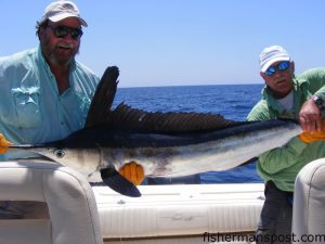 Vince Gubey and Phil Moseley, of Southport, with a white marlin they hooked near the Blackjack Hole aboard the "Yellow Rose." The white fell for a blue/pink jet head trailing a daisy chain and was released immediately after the photo.