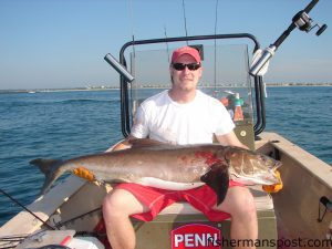 Dan Vinent, of Pure Fishing, with a 60 lb. cobia he hooked while fishing just outside Masonboro Inlet with his father. The cobe found a live bluefish to tempting to resist.
