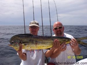 Capt. Rod Bierstedt and Joe Currie, from Wadesboro, NC, with a 15 lb. dolphin they hooked 20 miles off Wrightsville Beach on a dead cigar minnow pinned to a pink-skirted Hank Brown rig.