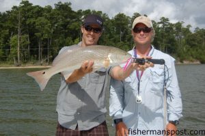 Gary Hurley, of Fisherman's Post, and Capt. Rennie Clark, of Tournament Trail Charters with a  tournament-perfect 27" red drum that crushed a topwater plug in a bay behind Topsail Island.