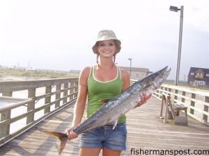 Angie Hamilton with her first king mackerel of the 2009 season. She hooked the kingfish on a live bait fished from the end of Sea View Pier.