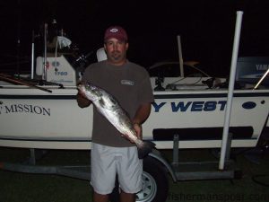 Danny Robbins with a 28" trout caught in Little River Inlet on a 6" mullet on a Carolina rig.