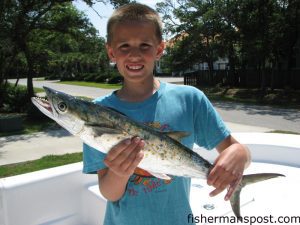 Conner Jordan, from Lockport, NY, with his first saltwater fish, a 2.9 lb. spanish mackerel that he hooked while trolling just off the beach at Oak Island with Dennis Bell on the "Steel'n Time."